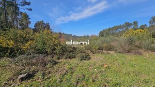 Land for sale in São Pedro do Sul, Portugal — €30,000