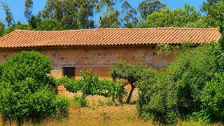 Land for sale in Santa Comba Dão, Portugal — €60,000