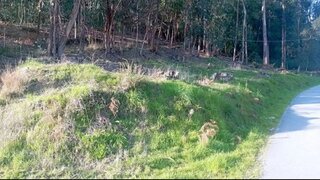 Land for sale in Ponte de Lima, Portugal — €135,000