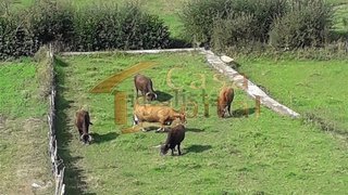 Terreno de 500 m² em Vila Real