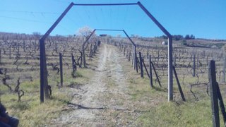 Land for sale in Alijó, Portugal — €359,000