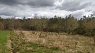Terreno em Sernancelhe