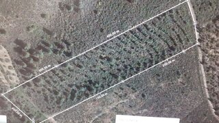 Terreno em Mirandela