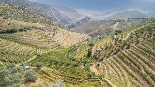 Terreno para venda em São João da Pesqueira, Portugal — 80 000 €