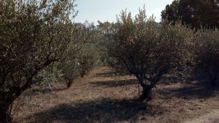 Terreno de 3500 m² em Viseu