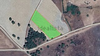 Terreno em Almeida