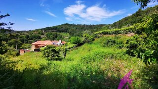 Terreno em Viana do Castelo · 2484 m² · 100 000 €