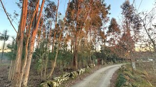 Terreno · 2175 m² · 40 000 €