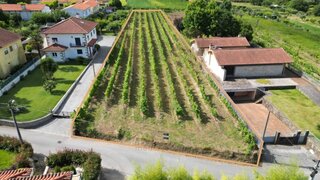 Land for sale in Ponte de Lima, Portugal
