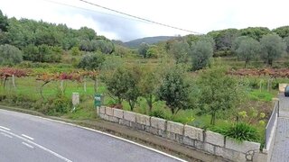 Land for sale in Ponte de Lima, Portugal — €8,000