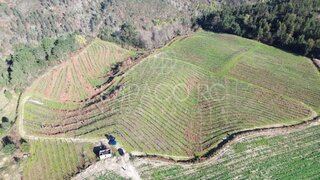 Terreno em Mondim de Basto · 85 984 m² · 120 000 €