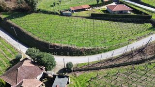 Terreno em Mondim de Basto · 3390 m² · 55 000 €