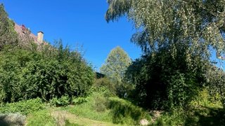casafari-bild