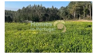 Land for sale in Alcobaça, Portugal — €125,000