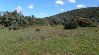 Terreno de 13 900 m² em Loulé