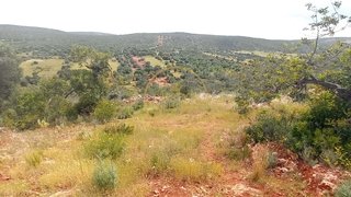 Land for sale in Loulé, Portugal — €65,000