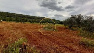 Land for sale in Loulé, Portugal — €50,000