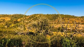 Land for sale in Loulé, Portugal — €40,000