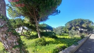 Land for sale in Sintra, Portugal