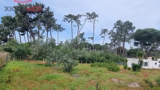Land for sale in Sintra, Portugal