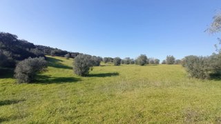 Terreno de 21 400 m² em Santarém