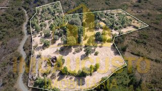 Terreno em Guarda · 22 100 m² · 25 000 €
