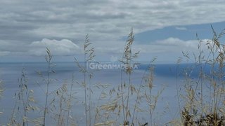 Land for sale in Calheta (Madeira), Portugal — €119,000
