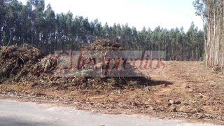 Land for sale in Águeda, Portugal — €70,000