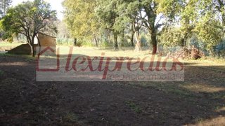 Land for sale in Albergaria-a-Velha, Portugal — €90,000