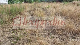 Land for sale in Águeda, Portugal — €210,000