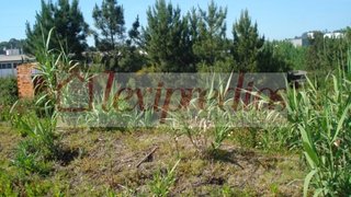 Land for sale in Oliveira do Bairro, Portugal — €400,000