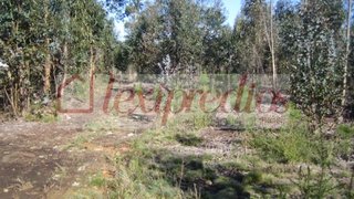 Land for sale in Águeda, Portugal — €150,000