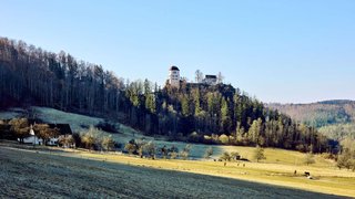 casafari-bild