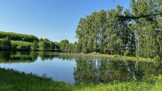 Alttag