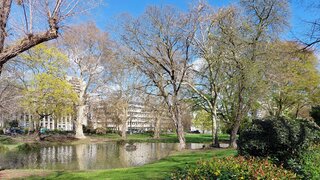 casafari-bild
