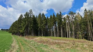 Alttag