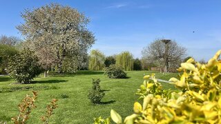 casafari-bild
