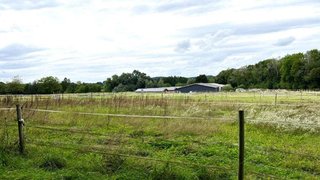 casafari-bild