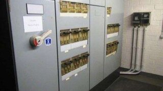 casafari-bild