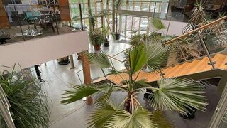 casafari-bild
