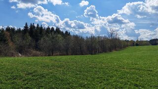 Alttag