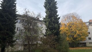 casafari-bild