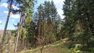 Alttag