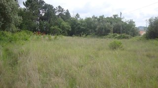Land for sale in Pombal, Portugal — €59,500
