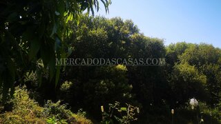 Land for sale in Santa Maria da Feira, Portugal — €65,000