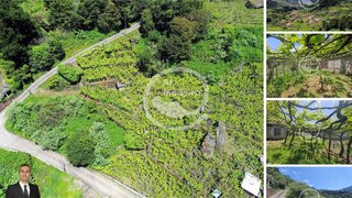 Land for sale in São Vicente, Portugal — €65,000