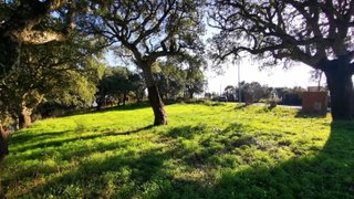Land for sale in Valongo, Portugal — €38,000