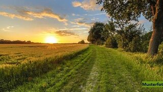 Alttag