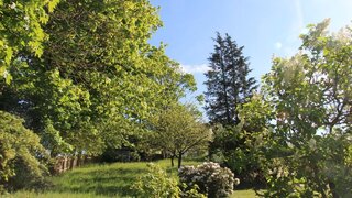 casafari-bild