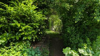 casafari-bild